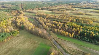 Asfalt yüzeyi ve kırsal bölgelerde beyaz lekeler