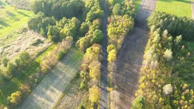 Yeşil ve turuncu ağaçlı boş yol