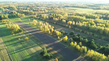 Yeşil çayır ve yukarıdan sarı ağaçlar