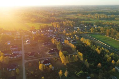 Parlak güneş ışığı ağaçlara ve çimenlere vuruyor.