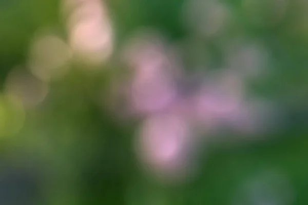 Natural Bokeh Blurry Pink Green Yellow Sunlight Soft Highlights Background — Stock Photo, Image
