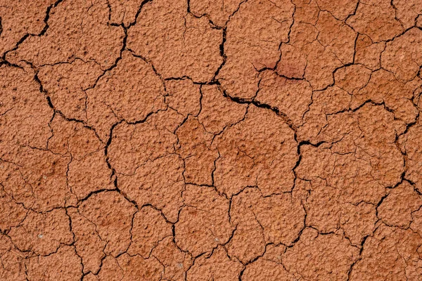 Dry, cracked clay soil in the summer heat