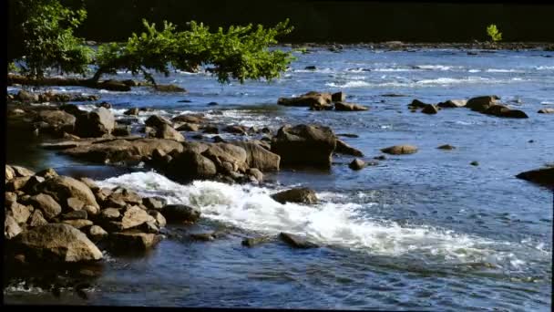 Wasser Bewegt Sich Schnell Über Felsen Catawba River South Carolina — Stockvideo