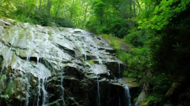 Şelalenin üzerinde güzel aydınlatılmış yeşillikle büyük kaya yüzeyinin üzerinden birçok akarsu akar. Glen Burney Falls Blowing Rock, Kuzey Carolina, ABD. 
