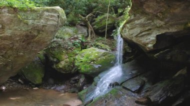 İpeksi su kayalık yüzün üzerinden akıyor huzur ve sükuneti çağrıştırıyor. Otter Falls Şelalesi, Yedi Şeytanlar, Kuzey Carolina, ABD. Sahne yosunlu kayalar ve derin yeşil çalılıklar tarafından çerçevelenmiştir..