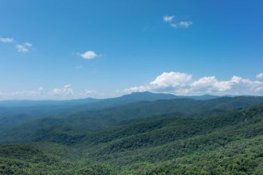 Kuzey Carolina, NC 'deki Blue Ridge Dağları' nın tepelerini kaplayan orman açık mavi gökyüzü ve kabarık beyaz bulutlarla kaplı.