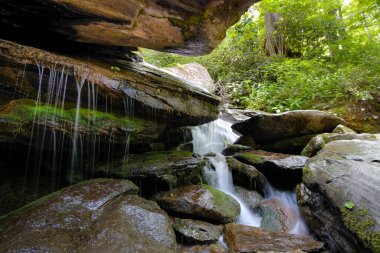 Banner Geyiği yakınlarındaki Seven Devils, Kuzey Carolina 'daki Otter Falls patikasında kayaların ve yosunların üzerinden akan ipeksi su..