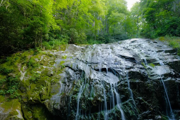 Kuzey Carolina, Blowing Rock yakınlarındaki Glen Burney Şelalesi 'nin üzerinde çok güzel aydınlatılmış yeşillikle kayaların üzerinden akan sular..