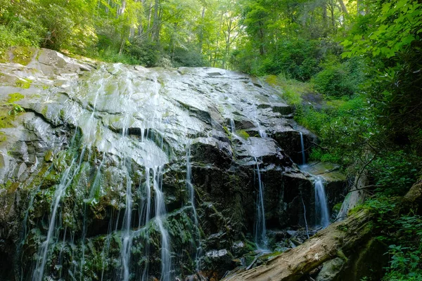 Water Stroomt Vele Beken Rotswand Met Prachtig Verlicht Groen Boven — Stockfoto
