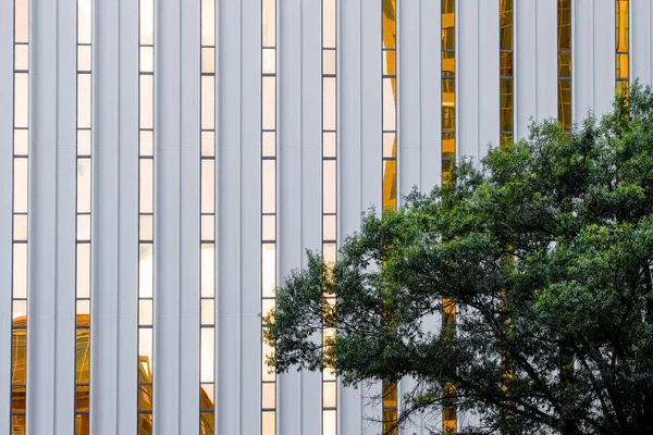 Reflexões Iluminadas Pelo Sol Dourado Nas Janelas Torre Escritório Moderna — Fotografia de Stock