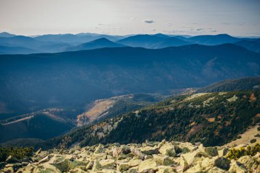 Arkasında dağ olan bir kanyon.