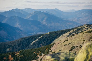 Arkasında dağ olan bir kanyon.