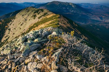 Kayalık bir dağ manzarası