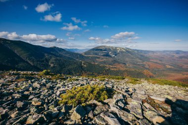 Kayalık bir dağ manzarası