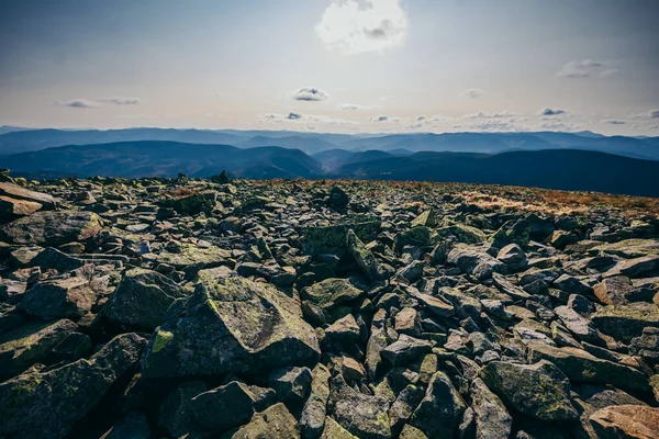 Eine Schafherde steht auf einem felsigen Berg — Stockfoto