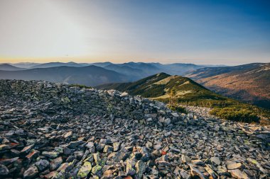 Arkasında ağaçlar olan kayalık bir dağ.