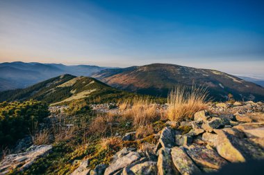 Arkasında dağ olan bir kanyon.