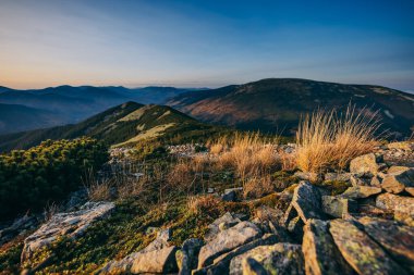 Arkasında dağ olan bir kanyon.