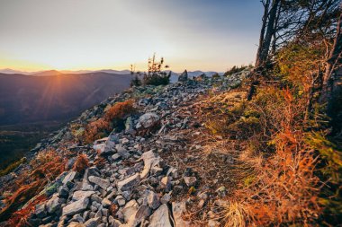 Bir yamacın yakınına.
