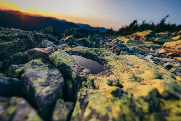 Eine Nahaufnahme eines Felsens — Stockfoto