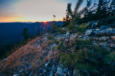 Dağın yamacında bir işaret.