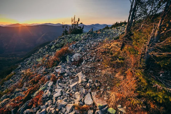 Egy kanyon naplementével a háttérben. — Stock Fotó