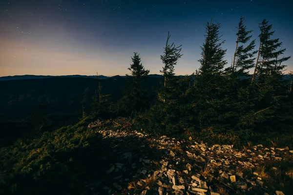 Una señal delante de un árbol — Foto de Stock