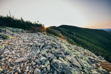 Taş dağlarında bir taş