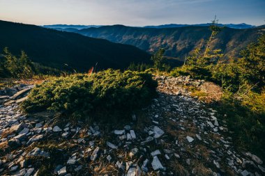 Kayalık bir dağ manzarası
