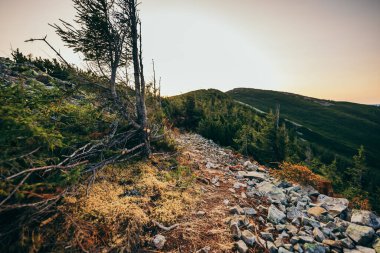 Arka planda kayalık bir dağ