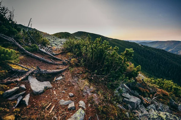 A rocky mountain with trees in the background