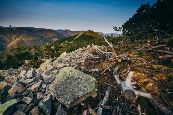 Ein felsiger Berg mit Bäumen im Hintergrund — Stockfoto