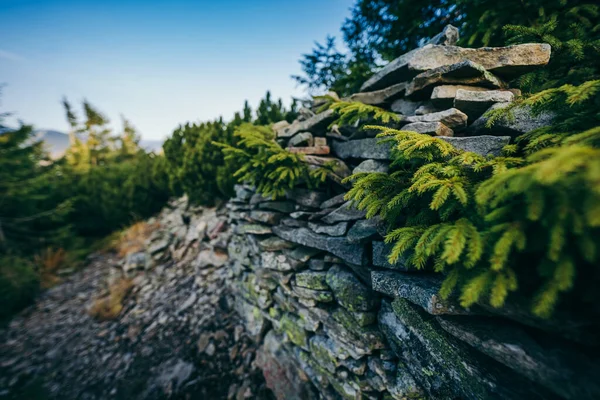 Eine Nahaufnahme eines Felsens — Stockfoto