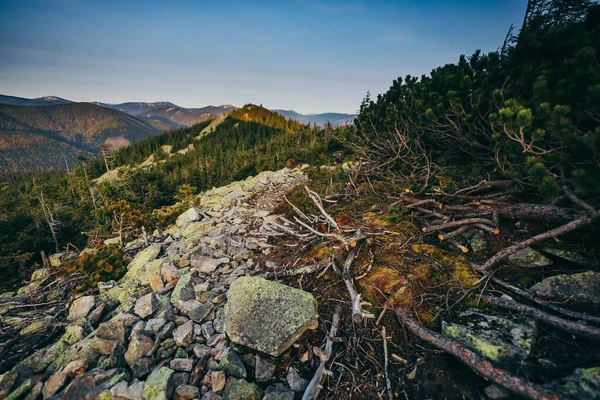 Egy sziklás hegy fákkal a háttérben. — Stock Fotó