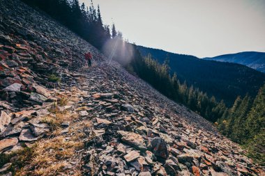 Arkasında ağaçlar olan kayalık bir dağ.