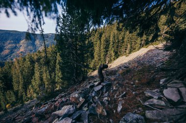 Arkasında dağ olan bir kanyon.