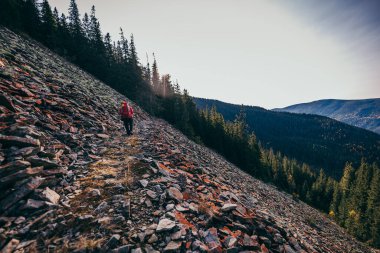 Arkasında dağ olan bir ağaç.