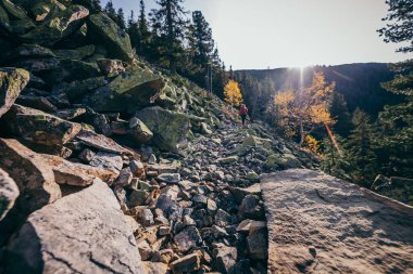 Arkasında dağ olan bir kanyon.