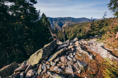 Arkasında dağ olan bir kanyon.