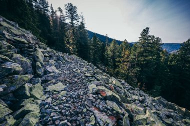 Arkasında ağaçlar olan kayalık bir dağ.