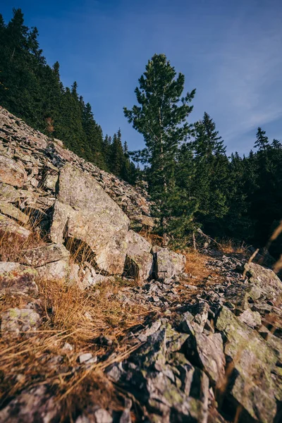 Um desfiladeiro com uma montanha ao fundo — Fotografia de Stock