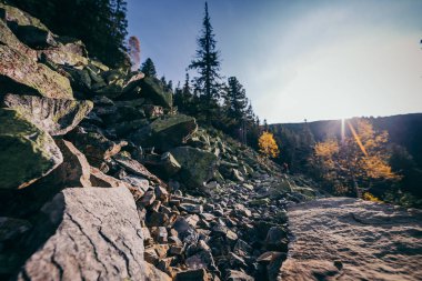 Arkasında ağaçlar olan kayalık bir dağ.