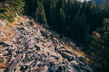 Arkasında dağ olan bir kanyon.