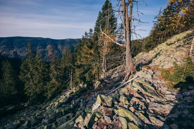 Arkasında dağ olan bir kanyon.