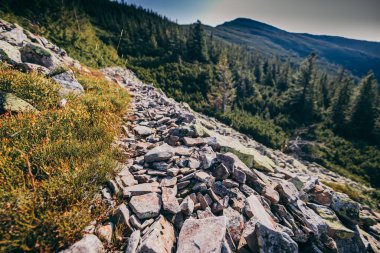 Arkasında ağaçlar olan kayalık bir dağ.