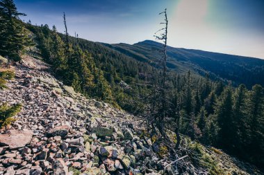 Arkasında dağ olan bir kanyon.