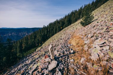 Arkasında dağ olan bir kanyon.