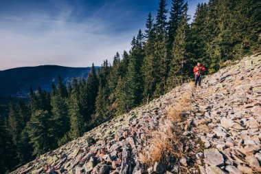 Dağın yamacında ağaçlar olan bir patika.
