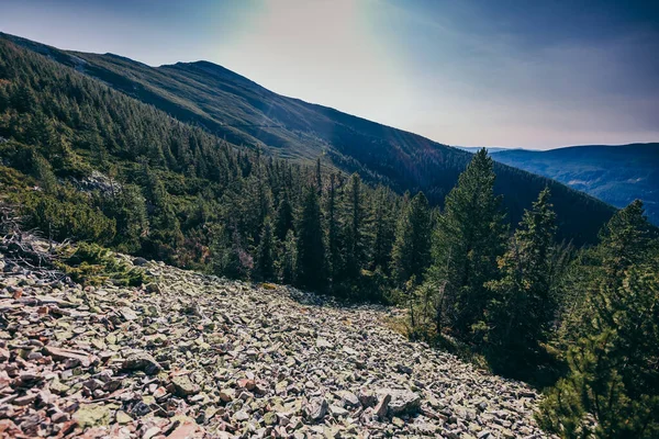 A rocky mountain with trees in the background