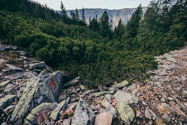 Eine Schlucht mit einem Berg im Hintergrund — Stockfoto